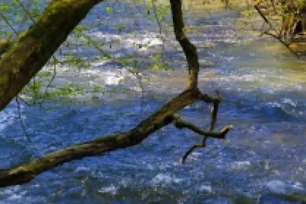 ruisseau2 ruisseau2